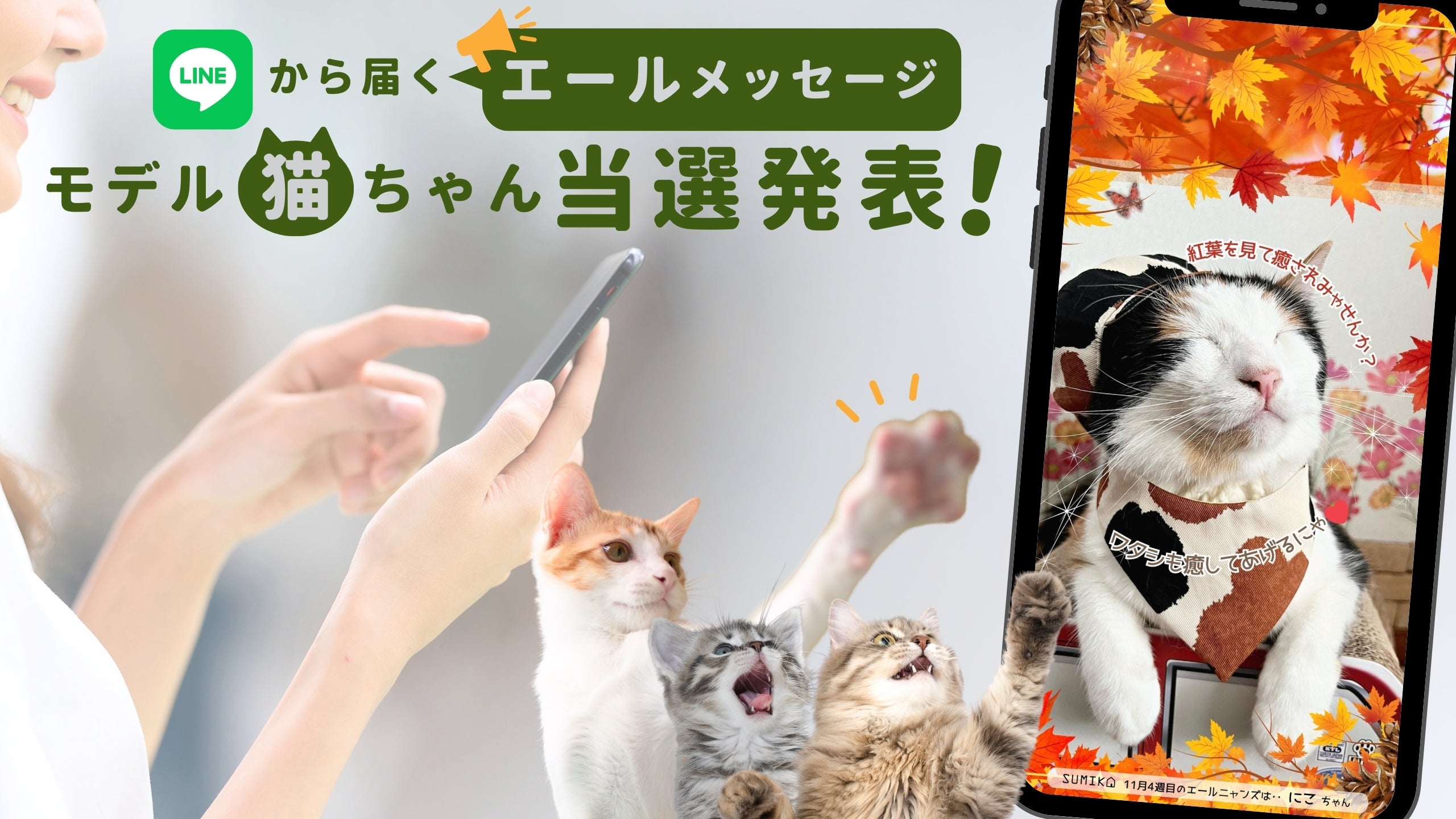 300枚を超える中から選ばれし52ニャン♪公式LINE企画