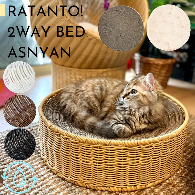 【6月末で販売終了します】【最終割引60%OFF】ratanto!シリーズ 洗える & 強い ラタン製 バリスヤボウル アズニャン🐾