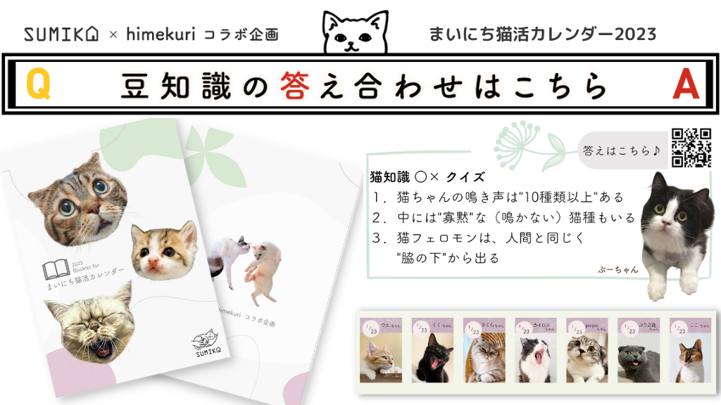 猫知識○×クイズの答え合わせ vol.4