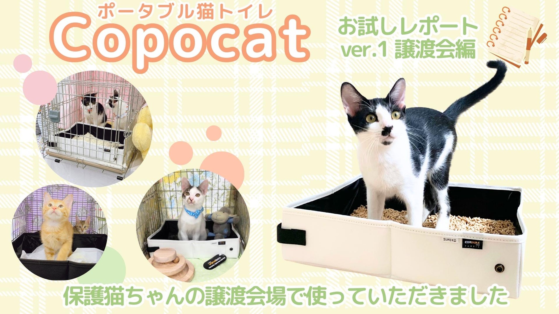 ポータブル猫トイレ「Copocat:コポキャット」お試しレポートver.1譲渡会編