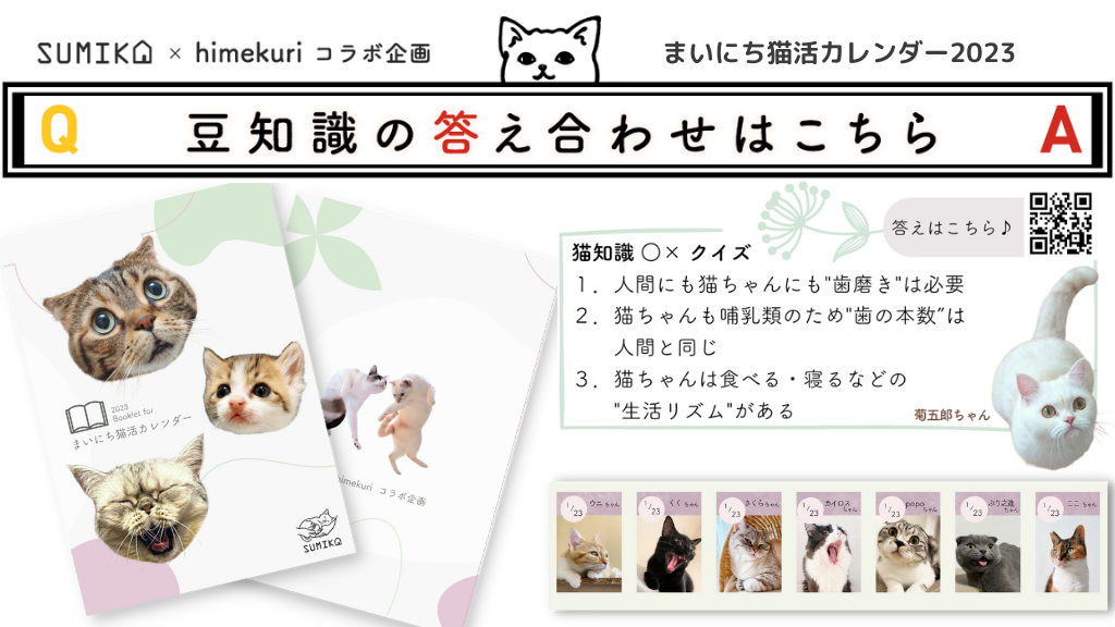 猫知識○×クイズの答え合わせ vol.5