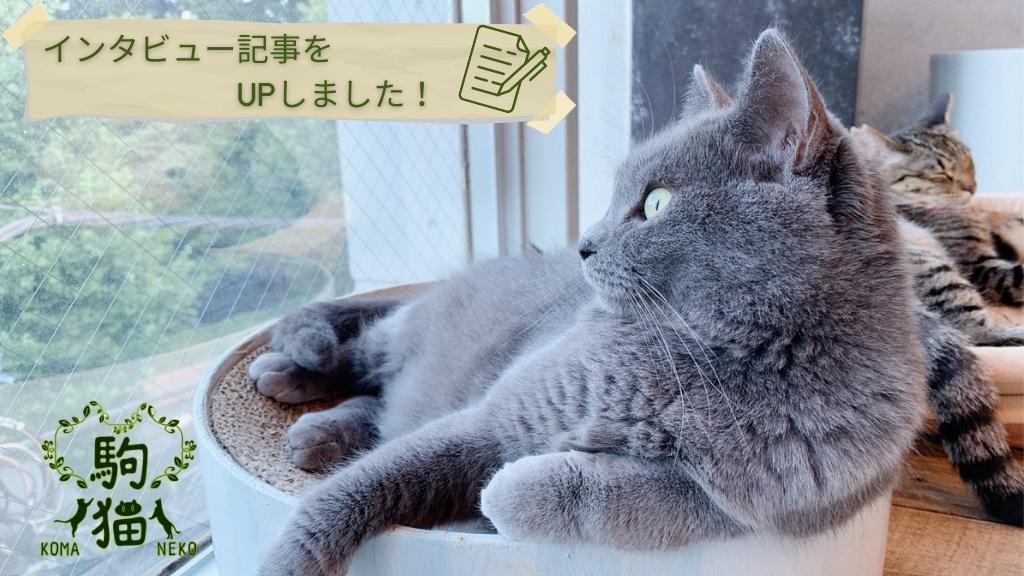 【INTERVIEW】保護猫カフェ駒猫 代表 吉田清美さん