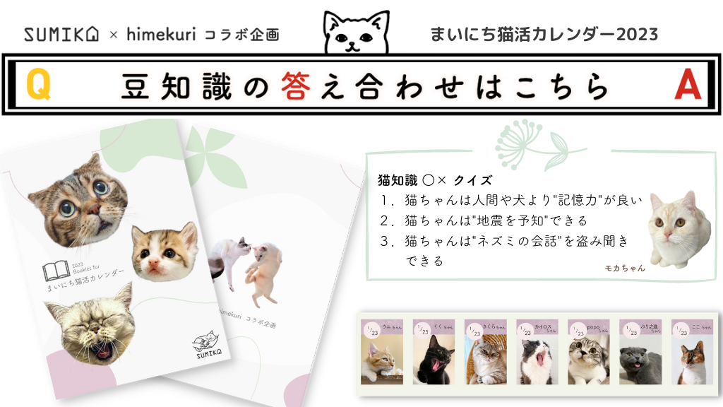 猫知識○×クイズの答え合わせ vol.3