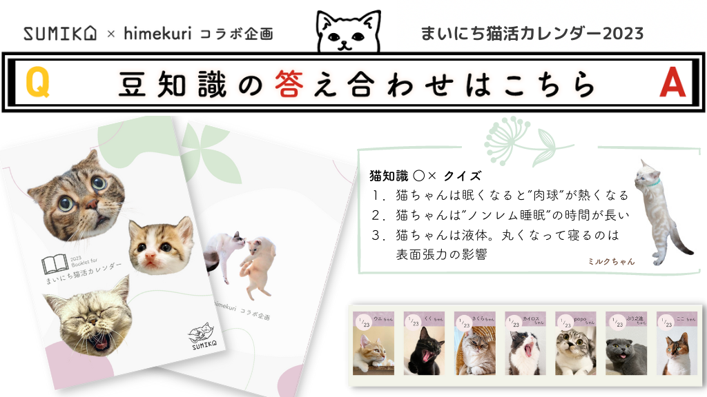 猫知識○×クイズの答え合わせ vol.2