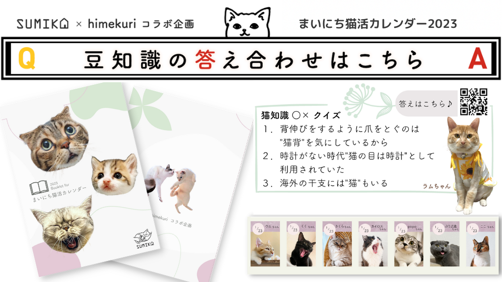 猫知識○×クイズの答え合わせ vol.8