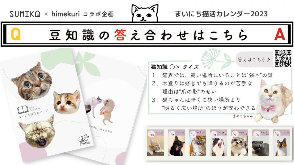 猫知識○×クイズの答え合わせ vol.10