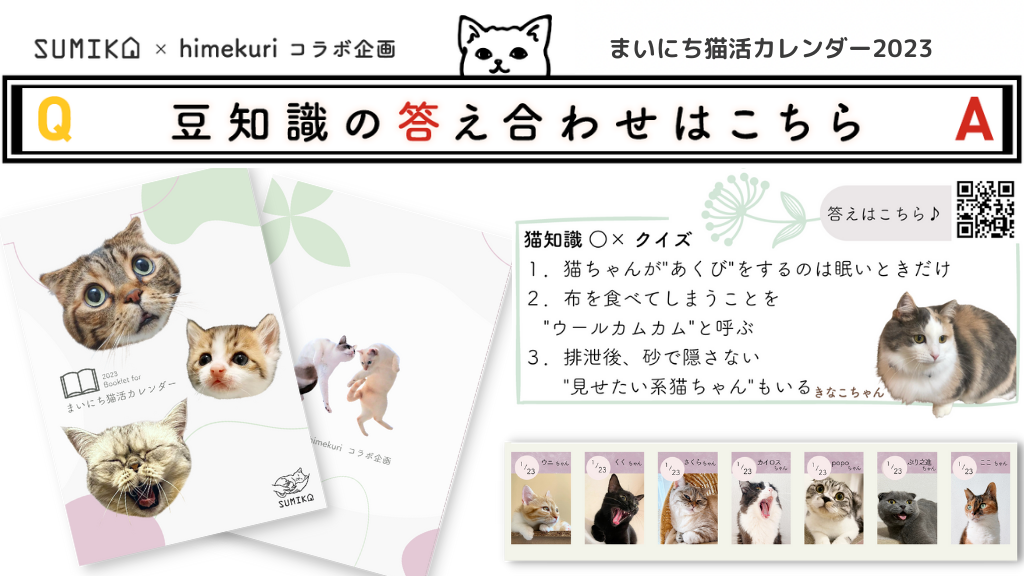 猫知識○×クイズの答え合わせ vol.11