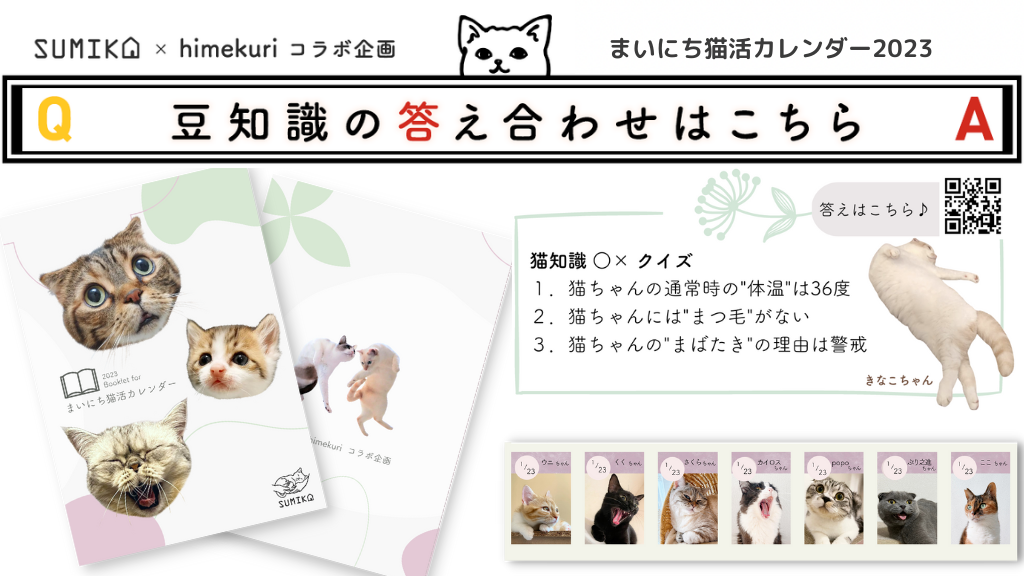 猫知識○×クイズの答え合わせ vol.6
