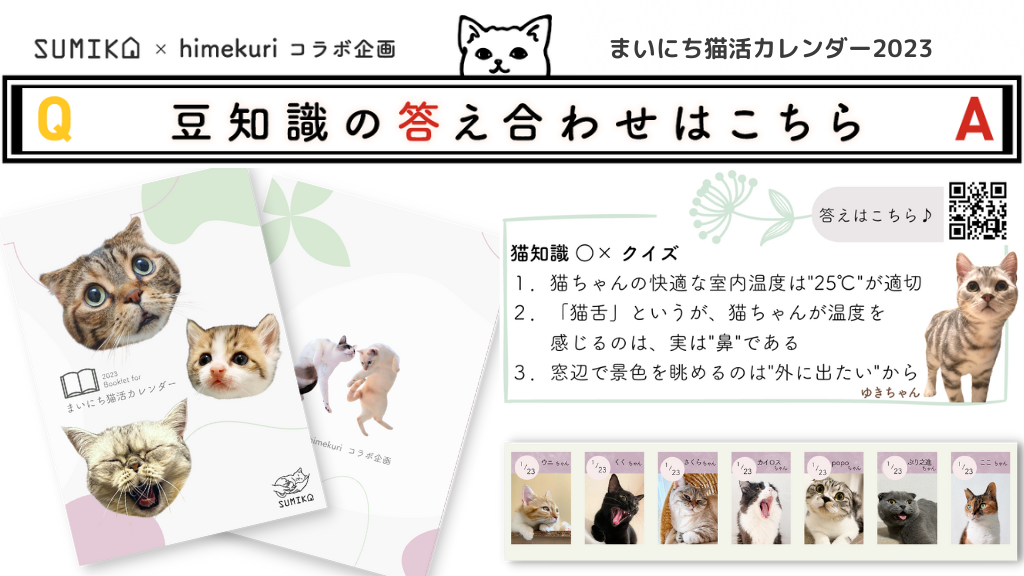 猫知識○×クイズの答え合わせ vol.7