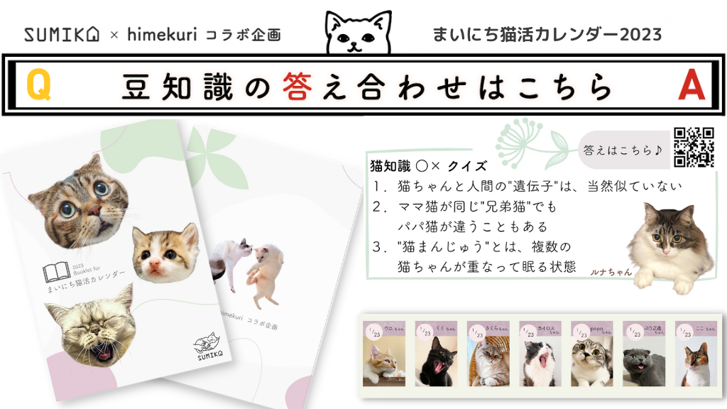猫知識○×クイズの答え合わせ vol.9