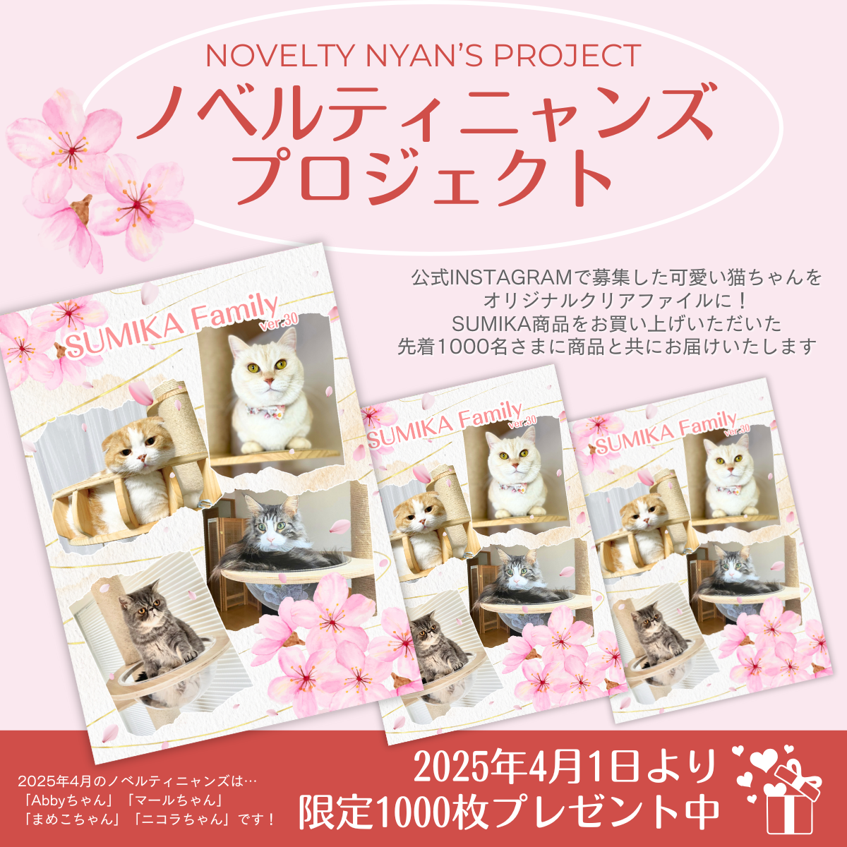 猫ぐらし専門店 キミとワタシのSUMIKA 猫ぐらし専門店 キミとワタシのSUMIKA
