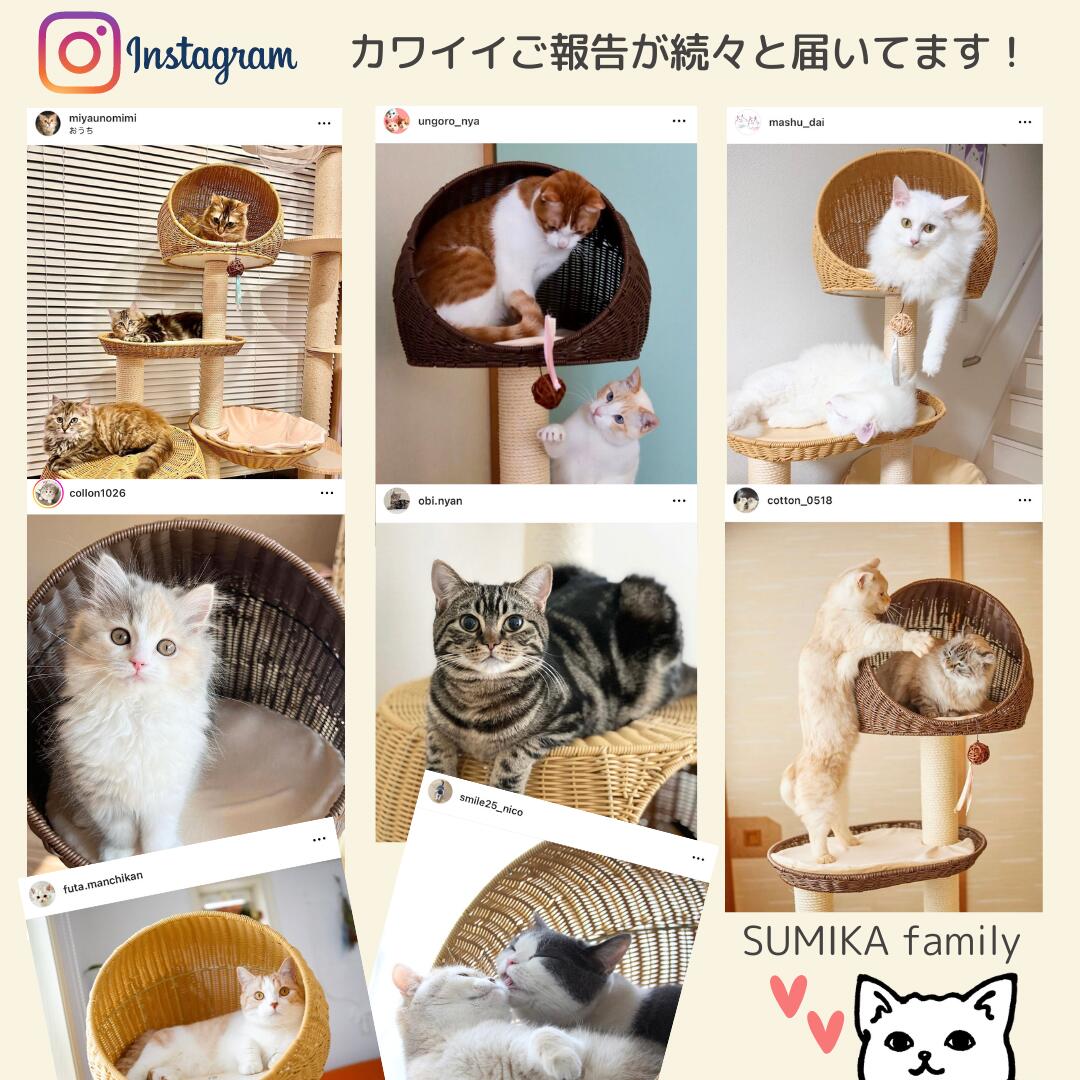 ratanto!シリーズ 洗えるラタン製 キャットタワー Sardenya🐾:サルディーニャ