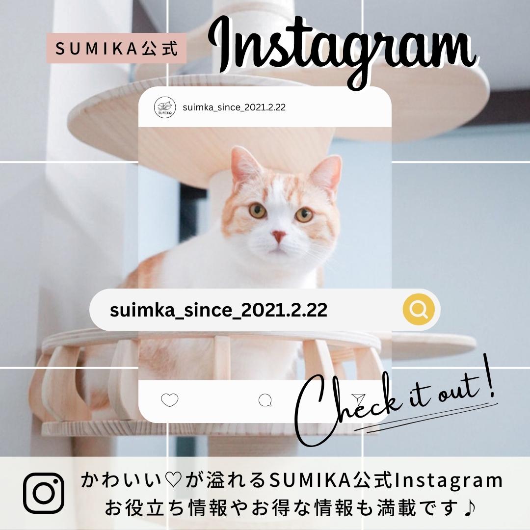 猫暮らし専門店 キミとワタシのSUMIKA フレンチバルコニー 