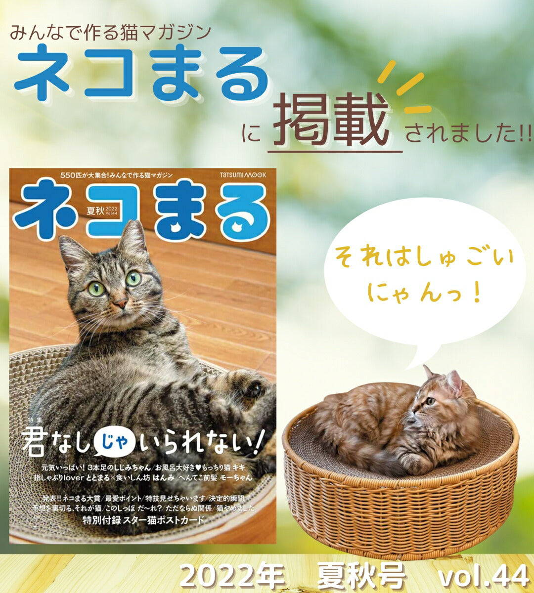 猫暮らし専門店 キミとワタシのSUMIKA ratanto!シリーズ 洗える & 強い 