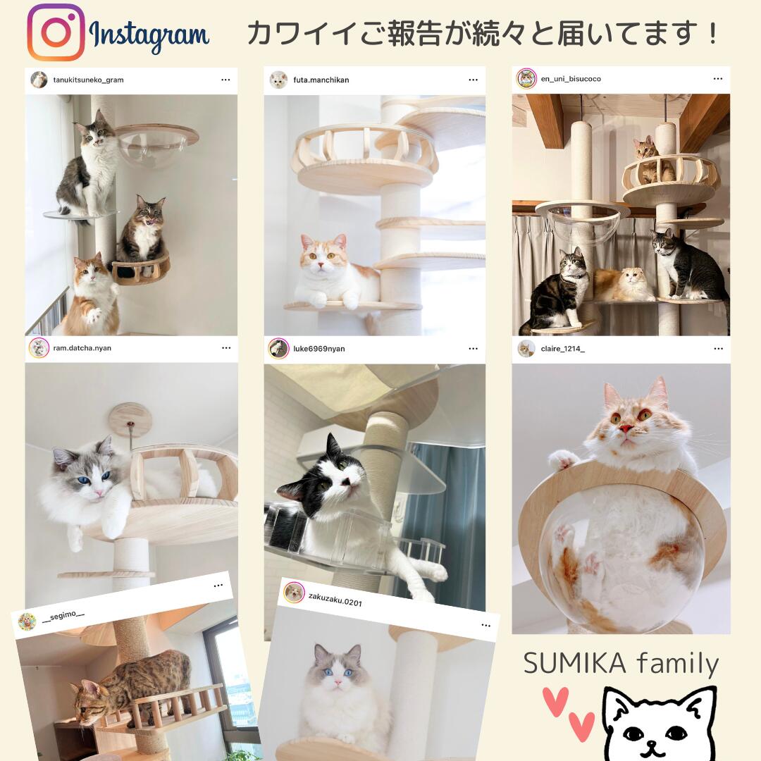 新品★キャットタワー（支柱爪とぎ）白 /nyan