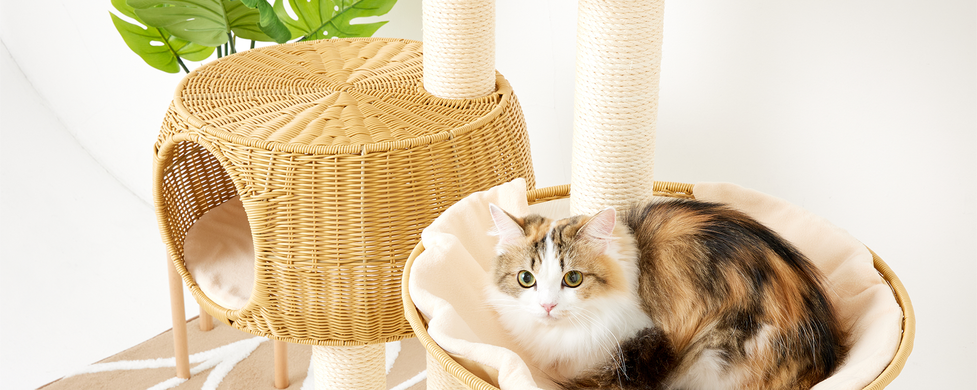 猫ぐらし専門店 キミとワタシのSUMIKA 猫ぐらし専門店 キミとワタシのSUMIKA