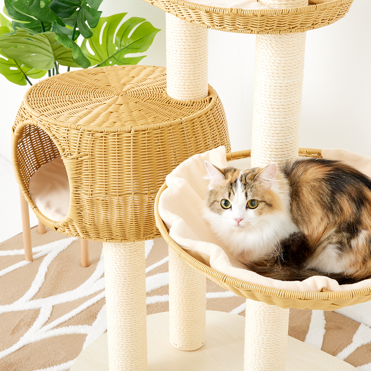 猫ぐらし専門店 キミとワタシのSUMIKA 猫ぐらし専門店 キミとワタシのSUMIKA