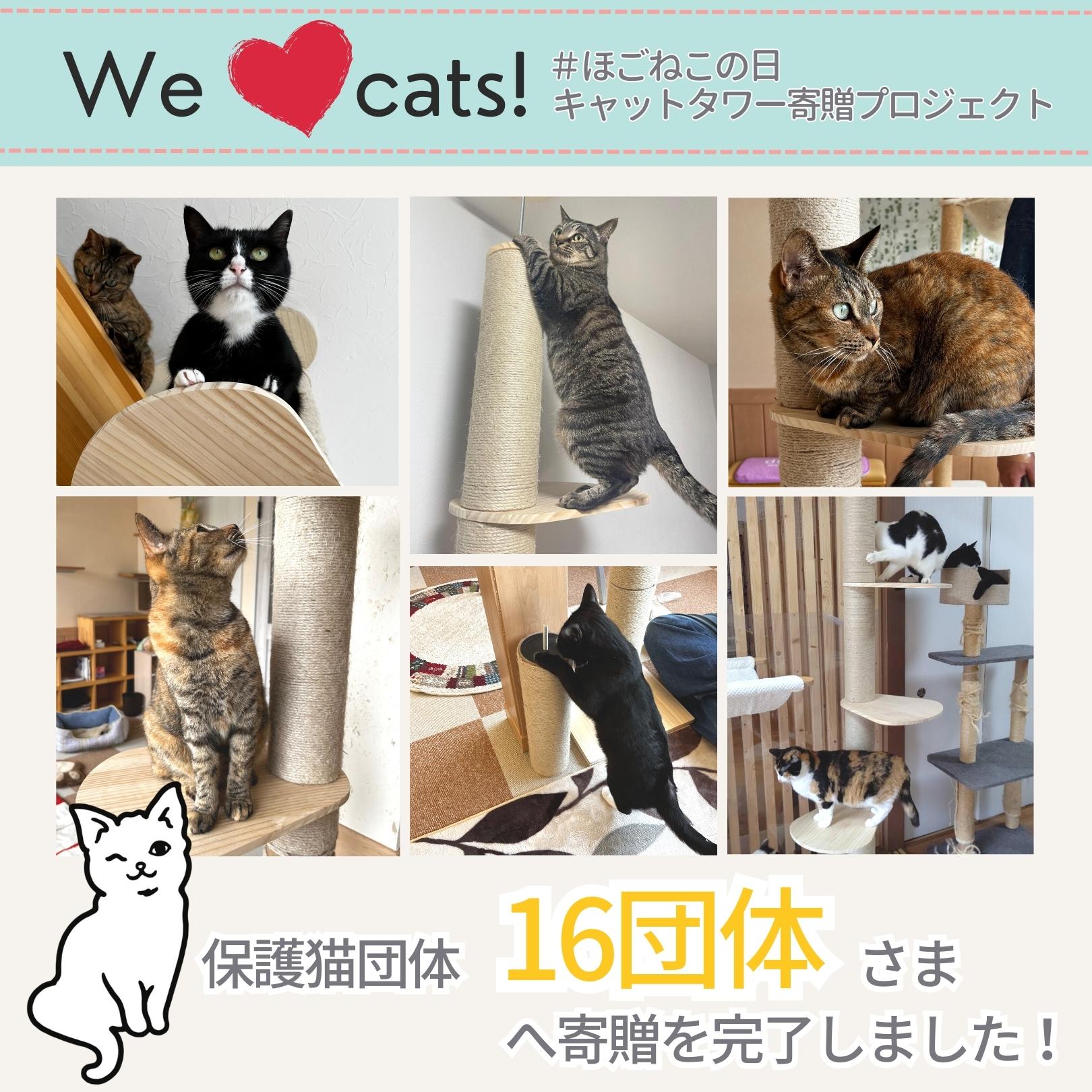 猫暮らし専門店 キミとワタシのSUMIKA 突っ張り型木製キャット