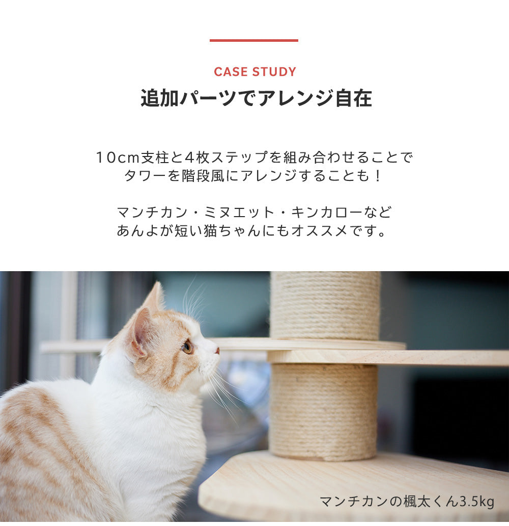 猫暮らし専門店 キミとワタシのSUMIKA 突っ張り型 木製キャットタワー