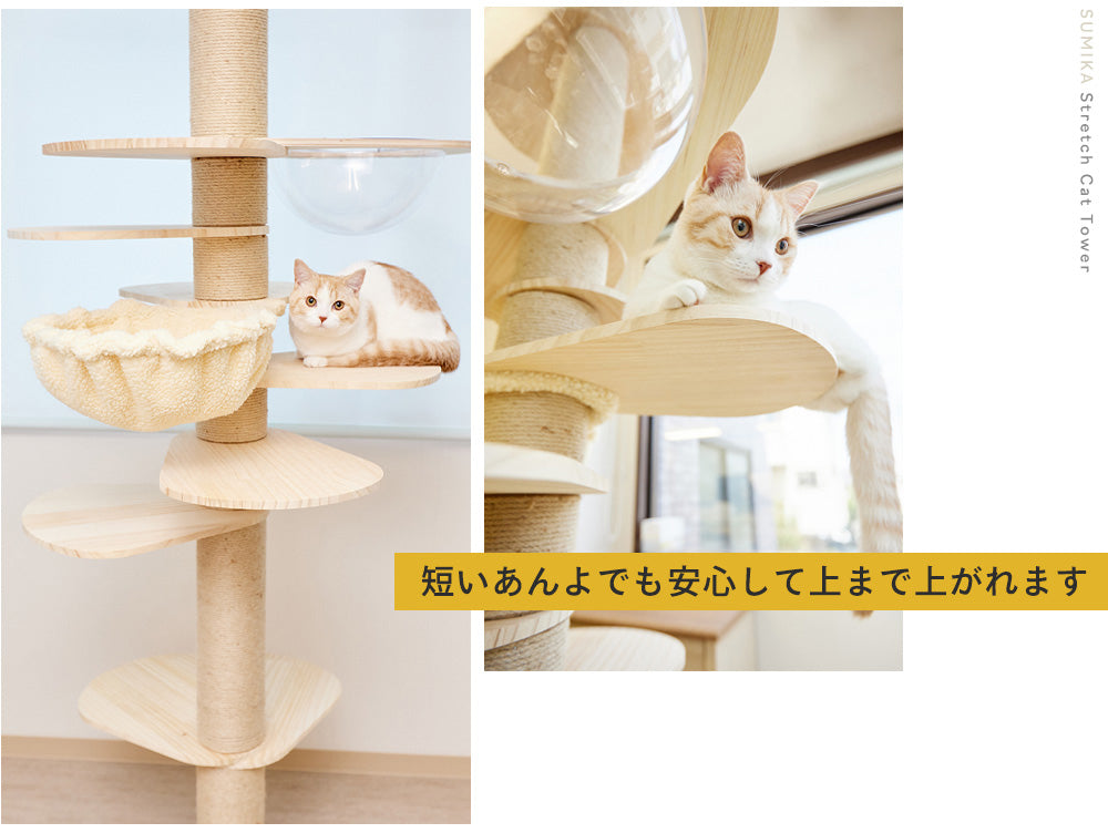 専門ショップ タワーキャット 猫用品 - ankaraseramik.com