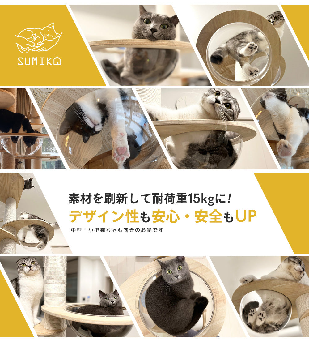 専用品　着地猫２点