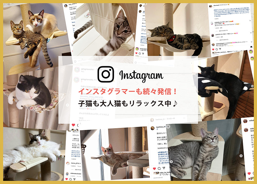 Tinaちゃん様専用猫のハンモック ラック用 （5ページ目 | 寝る