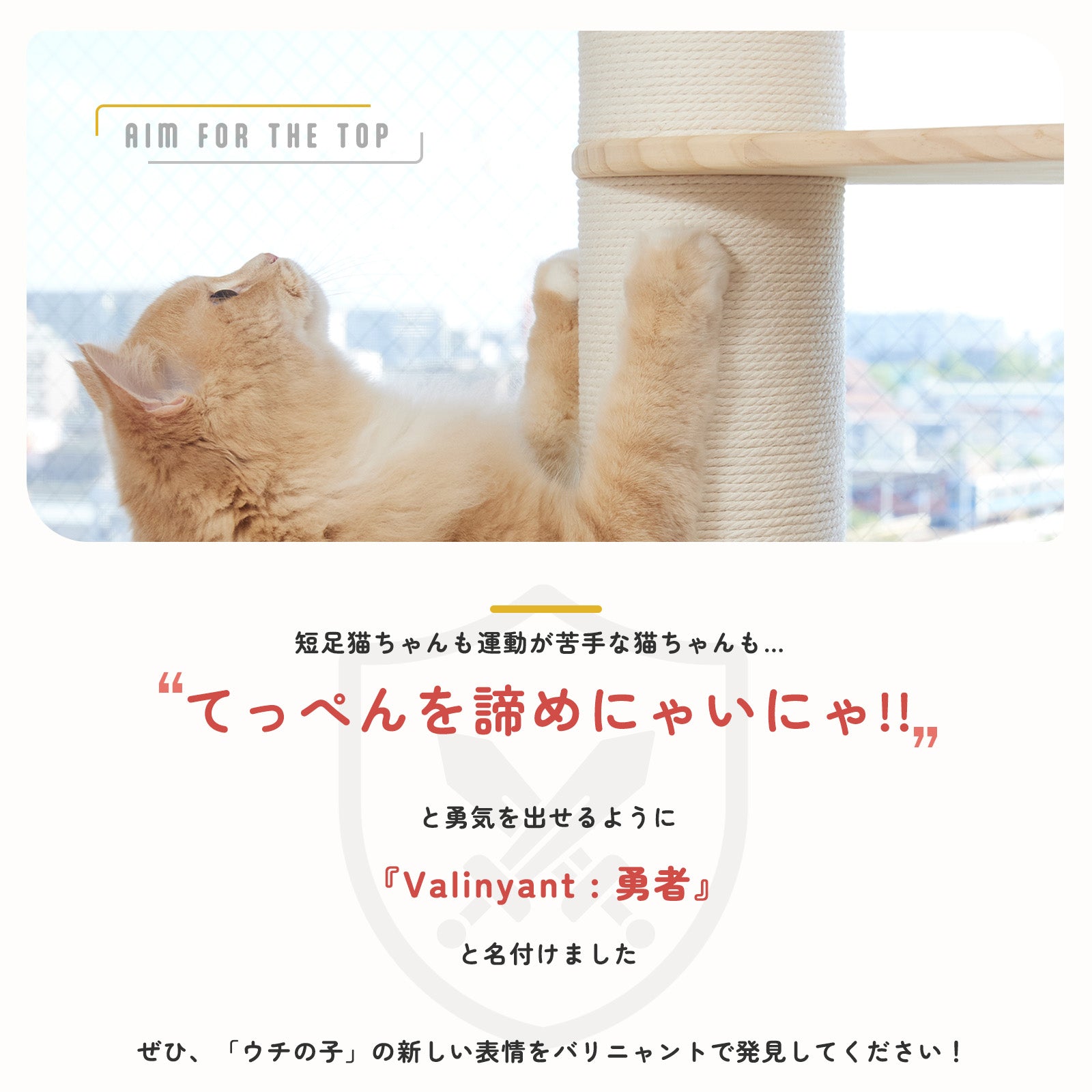 手足が短い猫専用のキャットタワー マンチカン ミヌエット 子猫 無垢材
